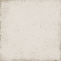 20х20 Bone 24387 керамогранит