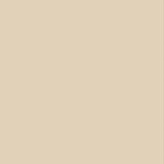 60х60 Спектор/Spector GFU6060SPR50R керамогранит матовый