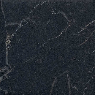 9,8х9,8 1268HS Сансеверо чёрный матовый